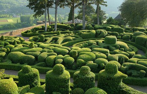 Сады Маркессака: изумрудное чудо Франции