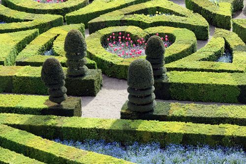Восхитительные сады замка Вилландри