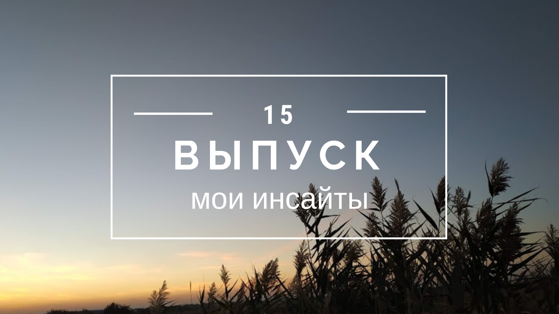 Мои инсайты. Выпуск 15